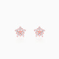 Rose Gold Shining Star Stud Earrings