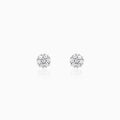Silver Floral Elegant Earrings